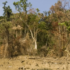 Climate Change and Health