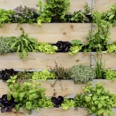 5 Sensational Spring Salads?>
