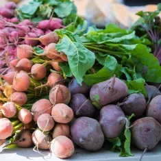 6 Root and Tuber Recipes?>