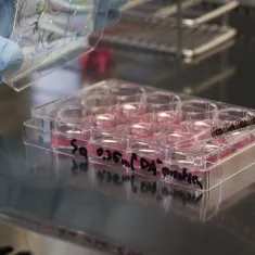 Is Stem Cell Therapy Legit??>