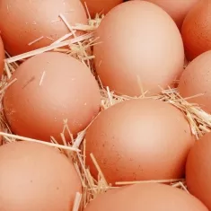 Eggs?>