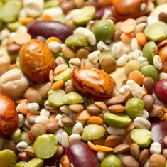 Beans?>