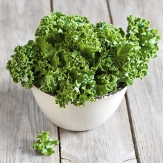 How to Choose the Best Kale